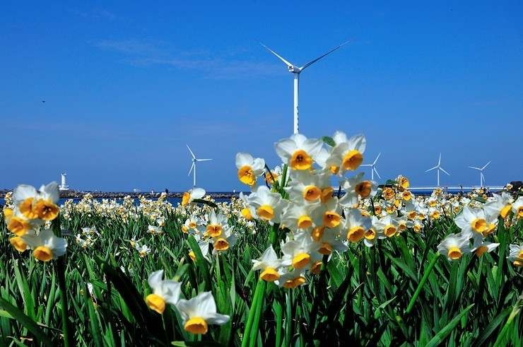 다운로드 (17).jpg