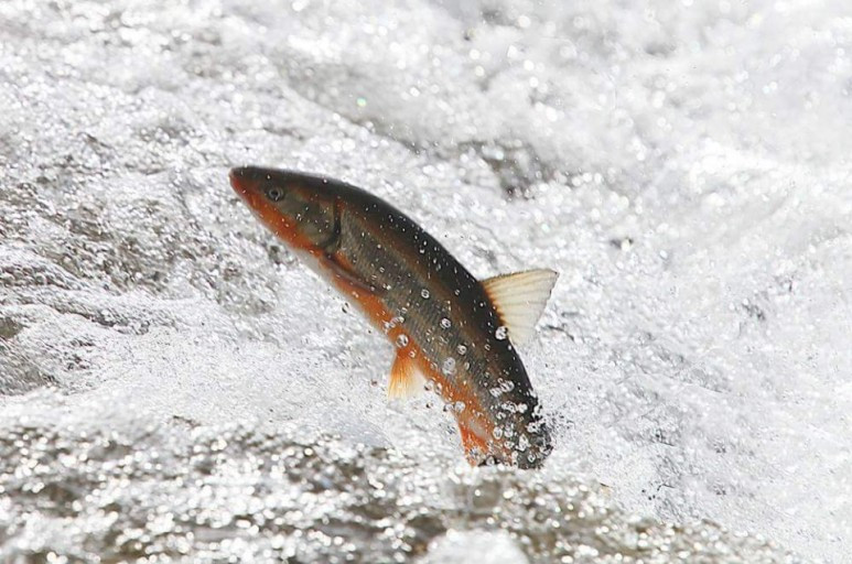 다운로드 (6).jpg