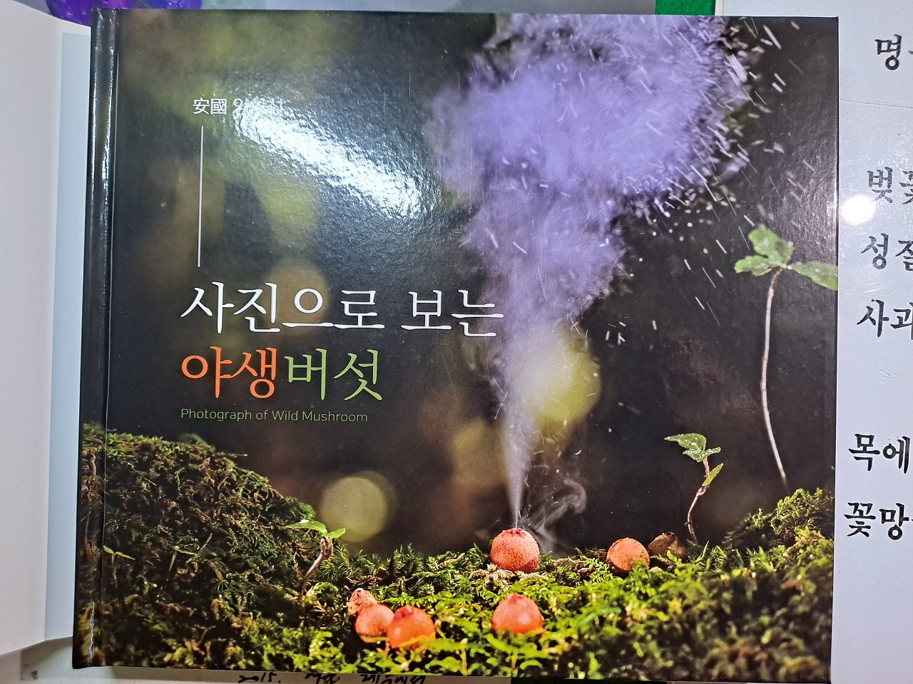 다운로드 (2).jpg