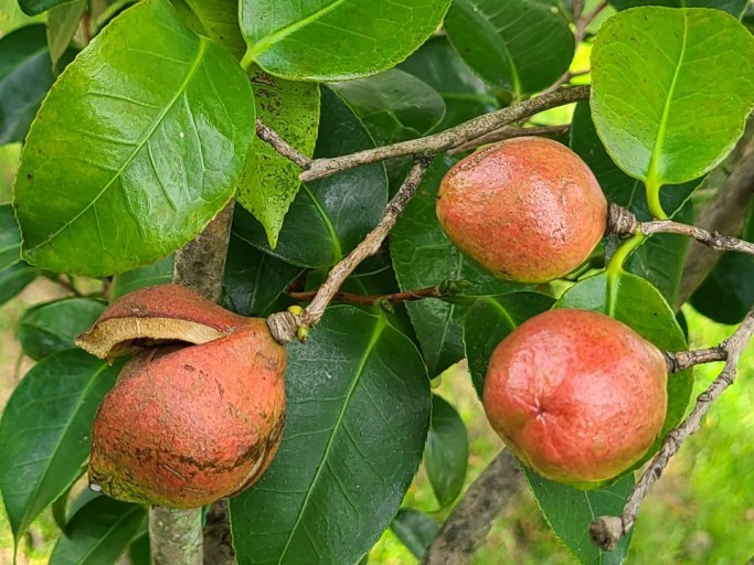 다운로드 (3).jpg