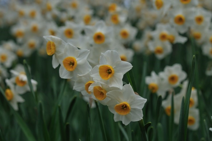 다운로드 (13).jpg