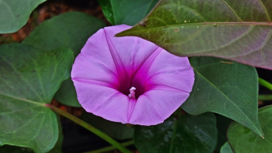 다운로드 (17).jpg