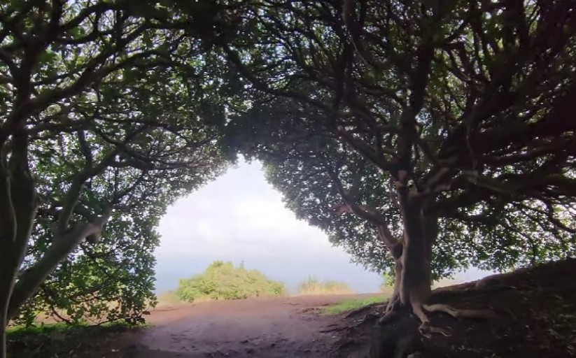 다운로드 (9).jpg