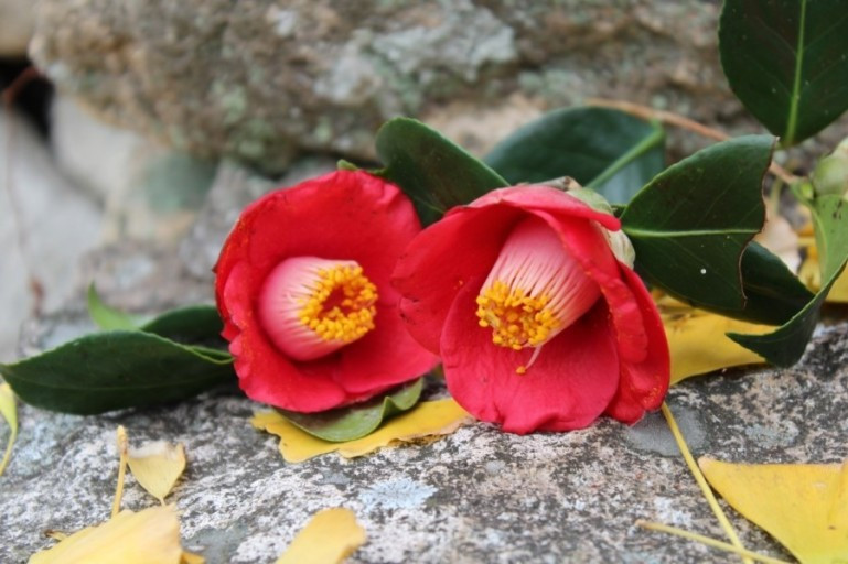 다운로드 (26).jpg