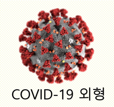 코로나-19_외형.jpg