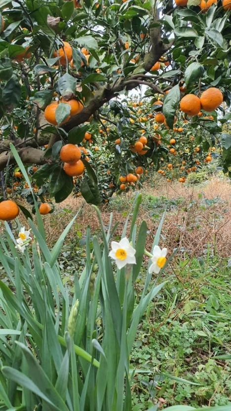 다운로드 (2).jpg