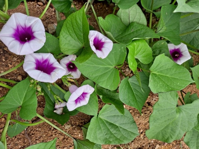 다운로드 (9).jpg