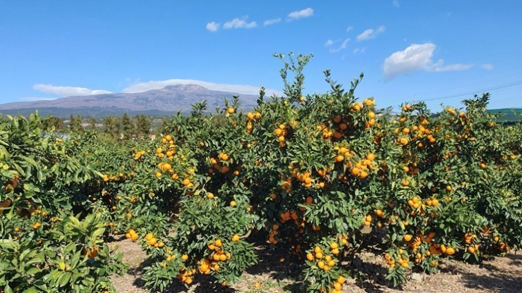 다운로드 (12).jpg