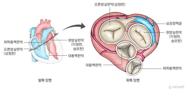 다운로드 (7).jpg