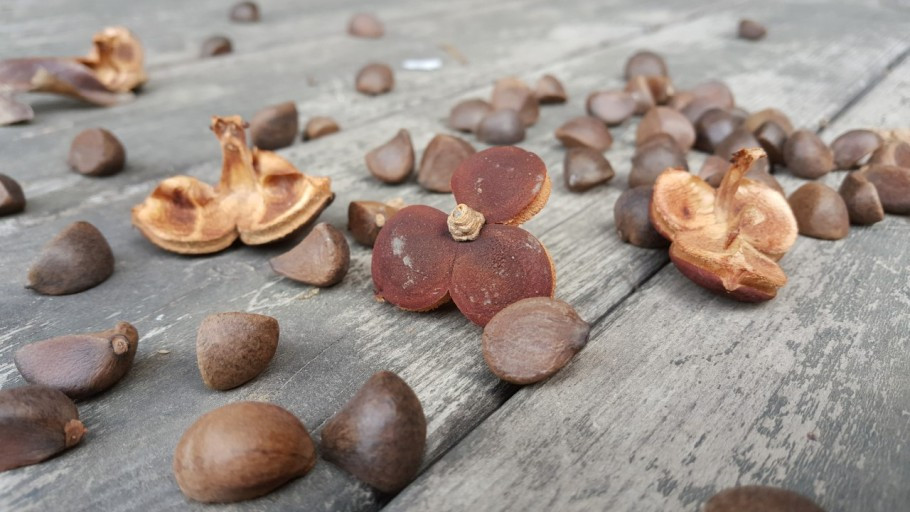 다운로드 (12).jpg