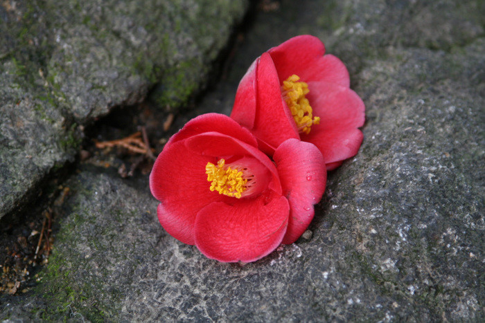 다운로드 (29).jpg