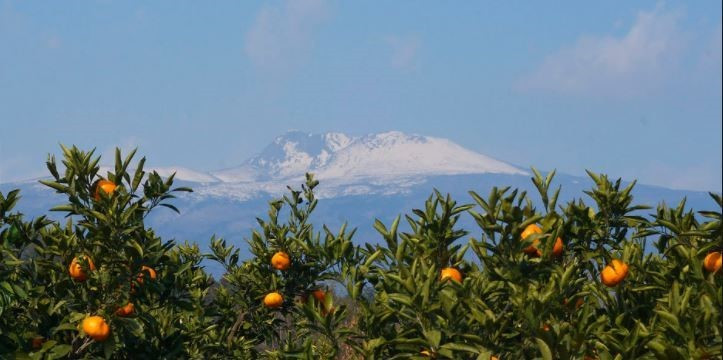 다운로드 (8).jpg