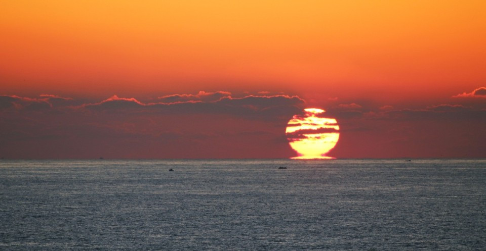 다운로드 (8).jpg