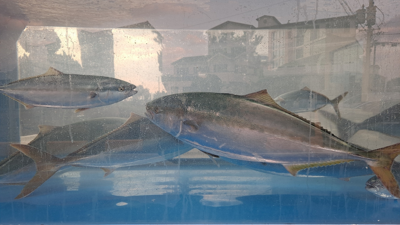 다운로드 (51).jpg