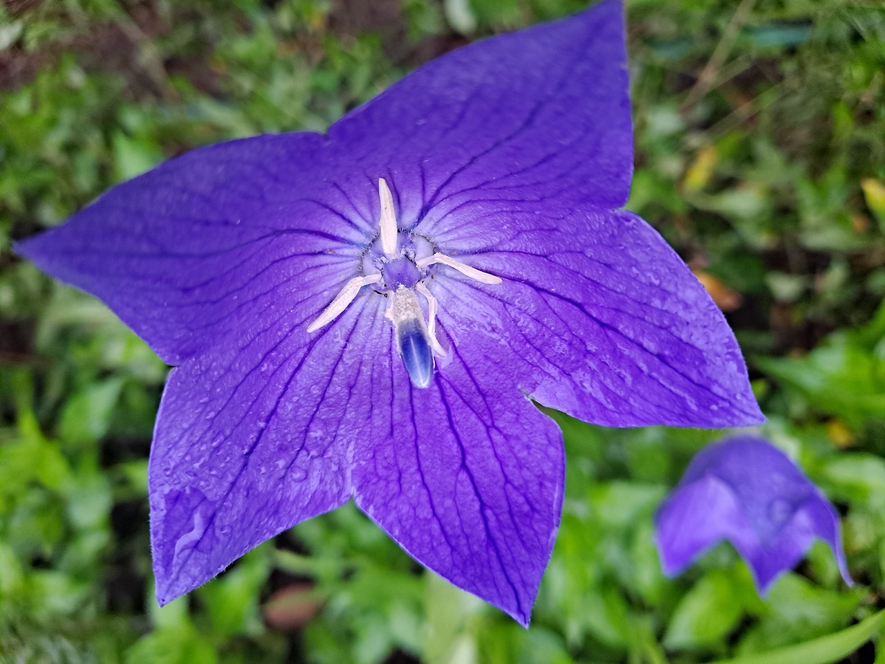 다운로드 (1).jpg