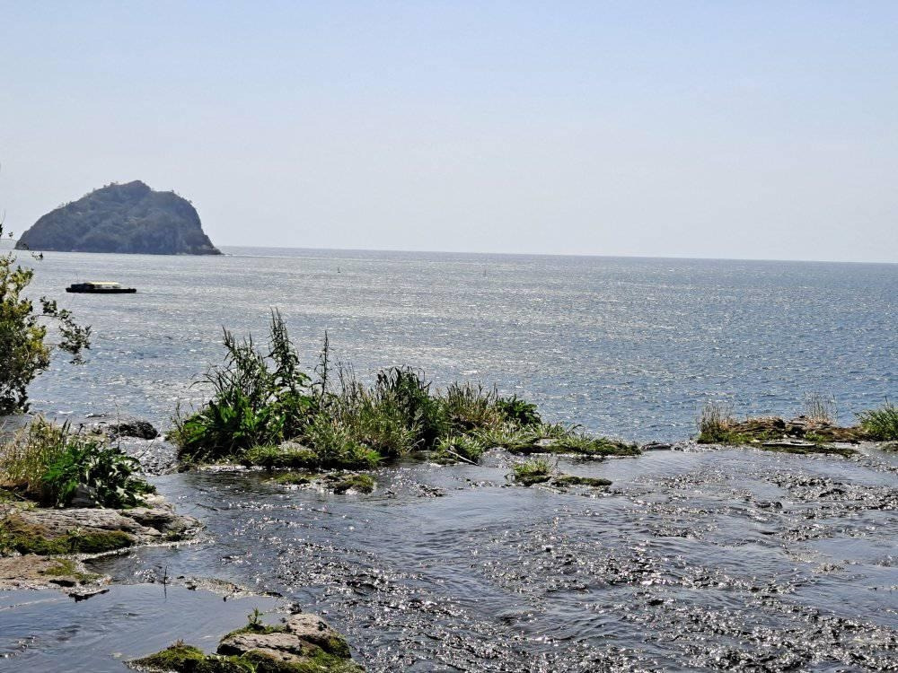 다운로드 (9).jpg