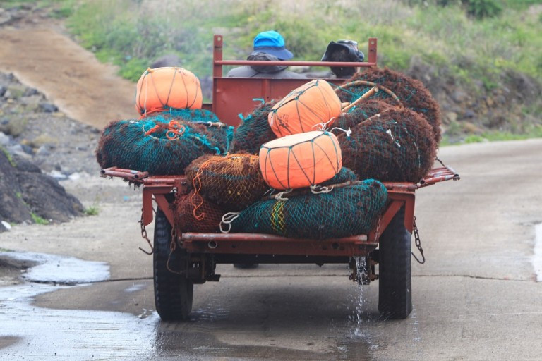 다운로드 (2).jpg