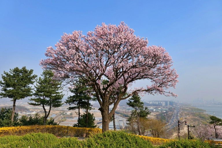 다운로드 (4).jpg