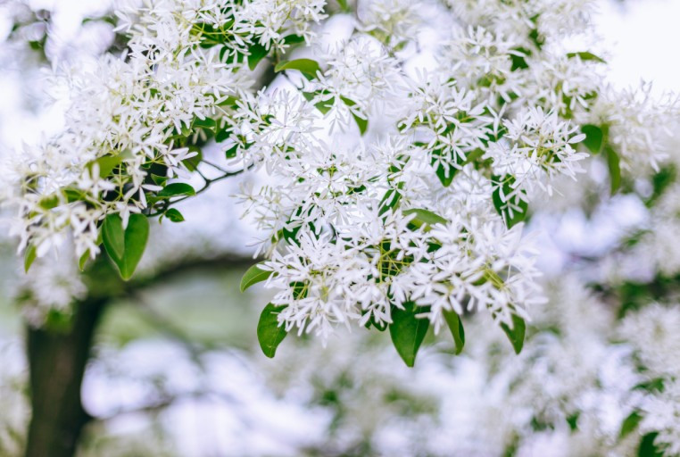 다운로드 (8).jpg