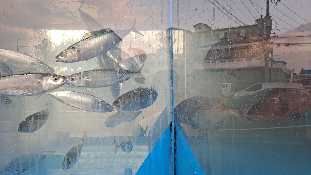 다운로드 (49).jpg