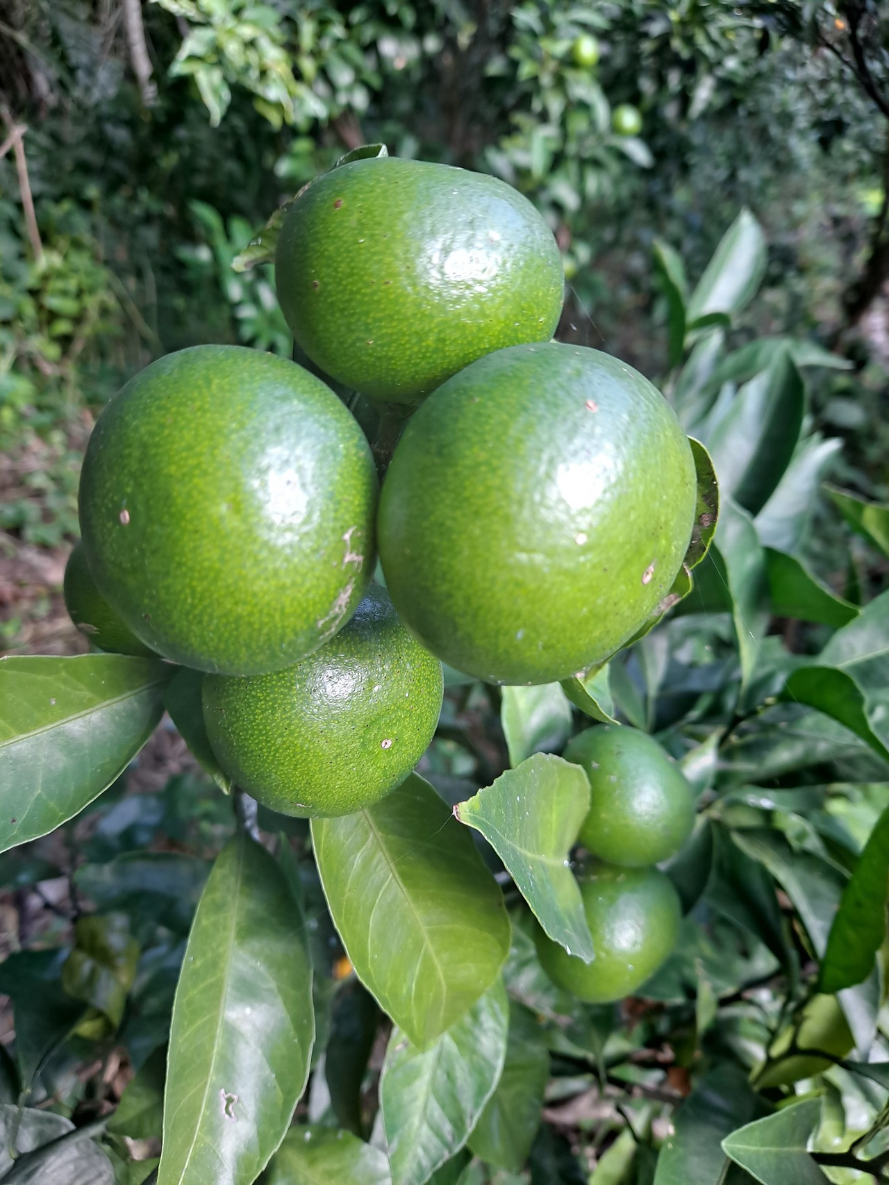 다운로드 (1).jpg