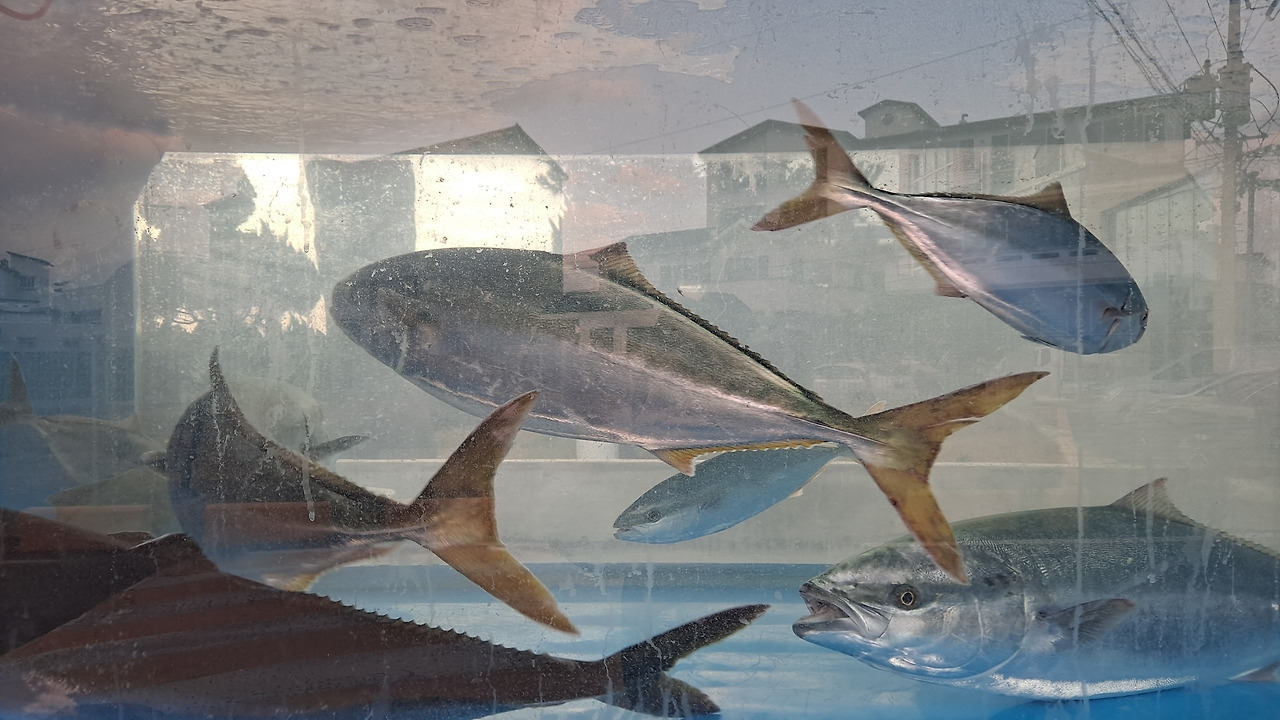 다운로드 (50).jpg