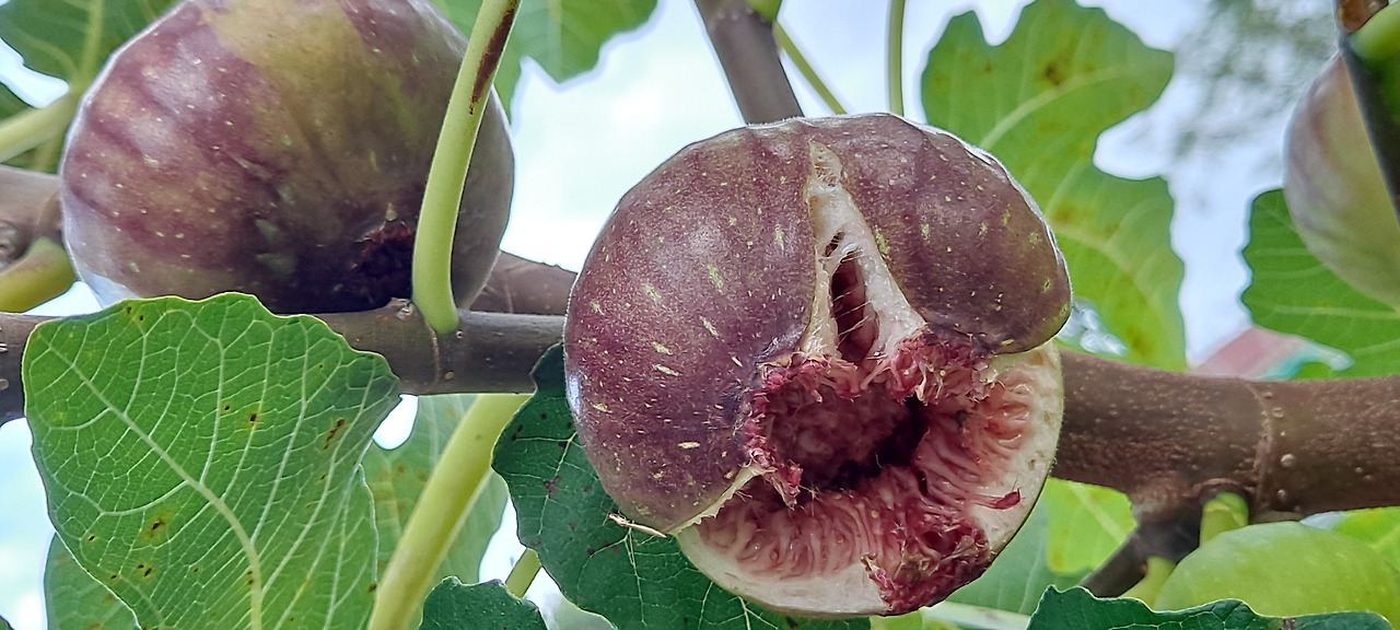 DOdJaNalunfBfuVDvaERLnER-7s (1).jpg