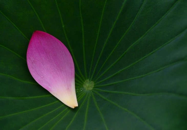 다운로드 (32).jpg