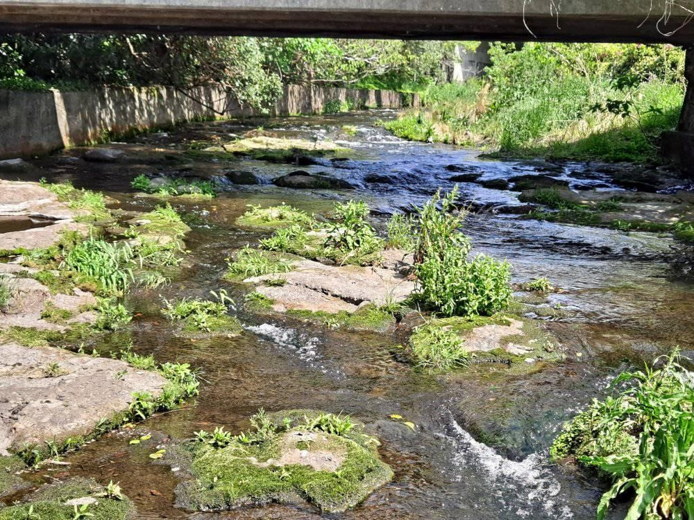 다운로드 (17).jpg