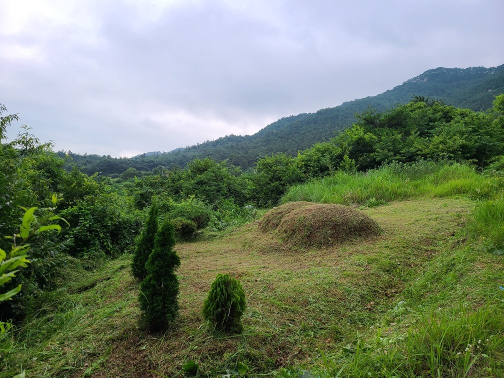 다운로드 (1).jpg