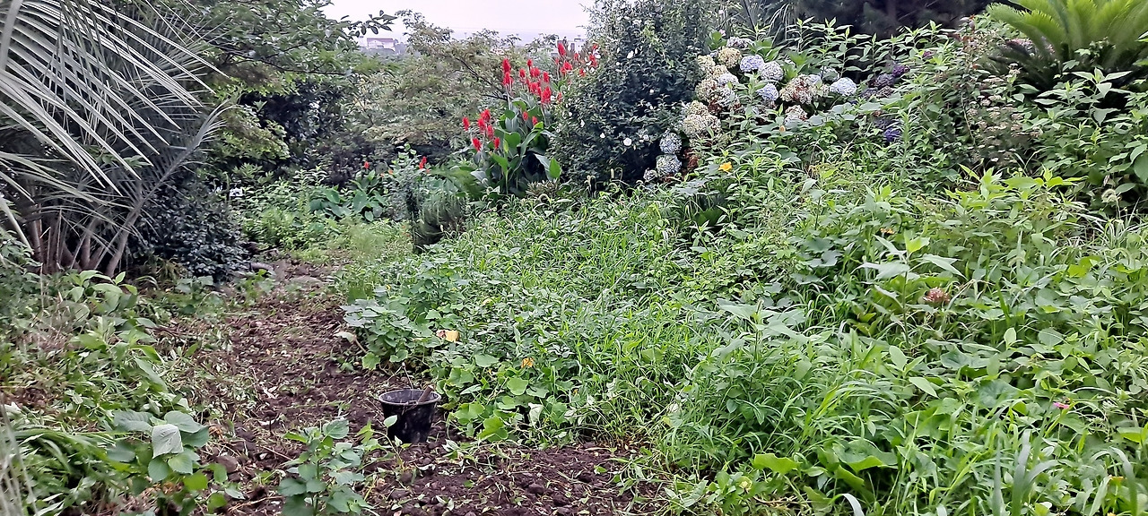 다운로드 (5).jpg