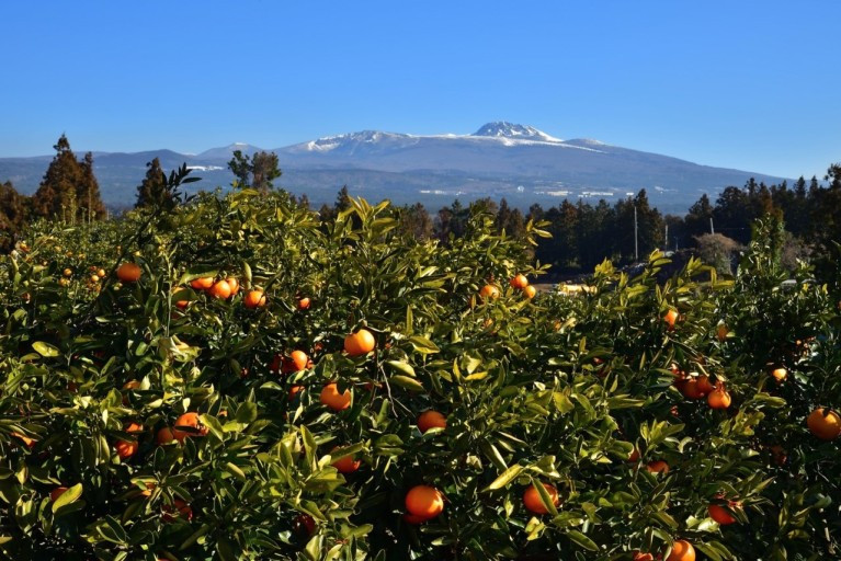 다운로드 (4).jpg