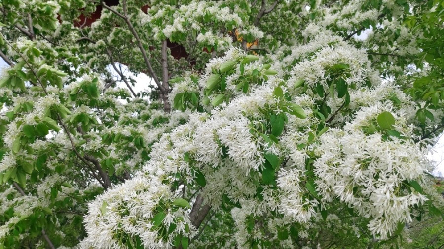 다운로드 (9).jpg