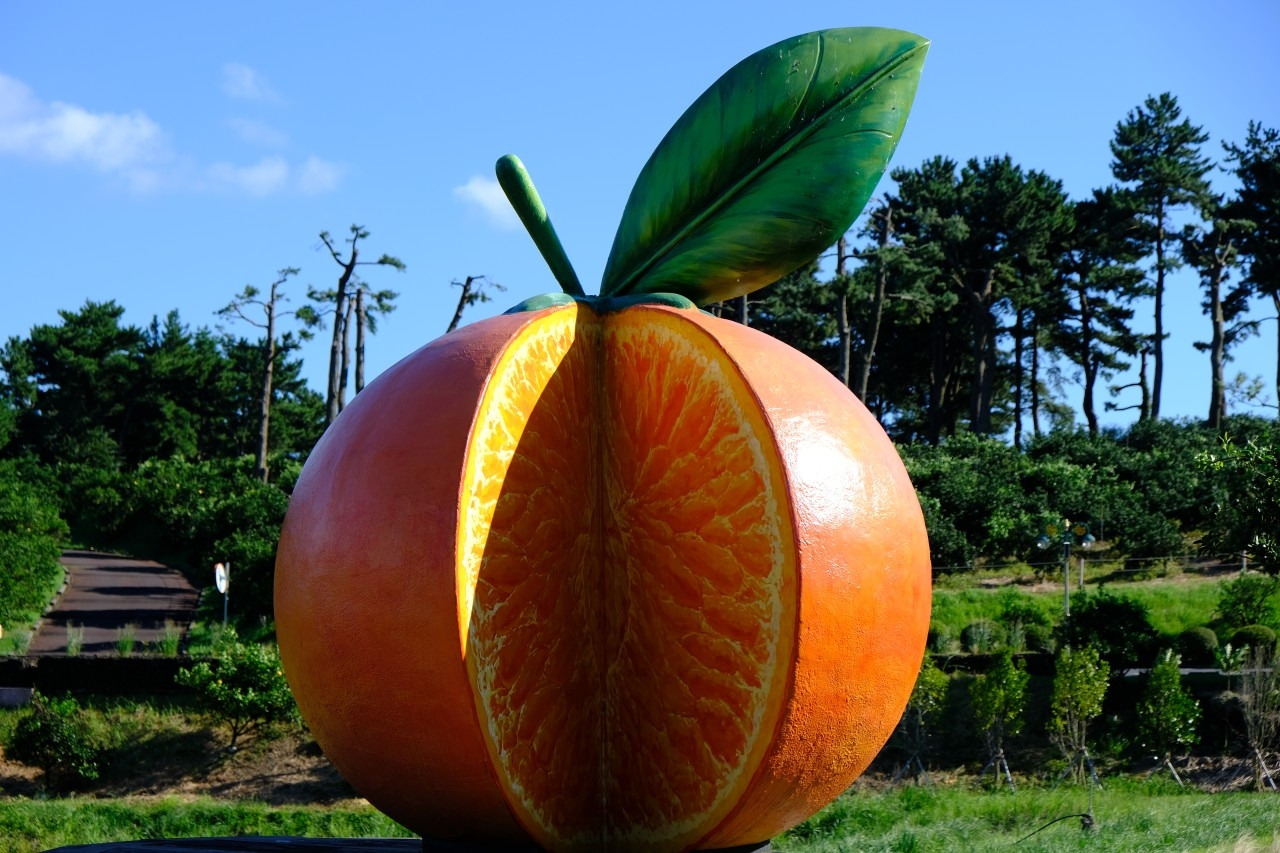 다운로드 (3).jpg