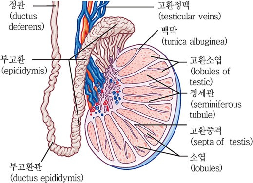 다운로드 (2).jpg