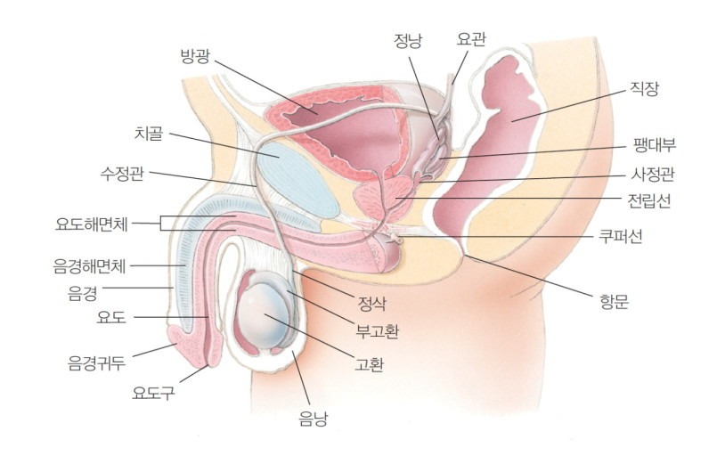 다운로드 (2).jpg