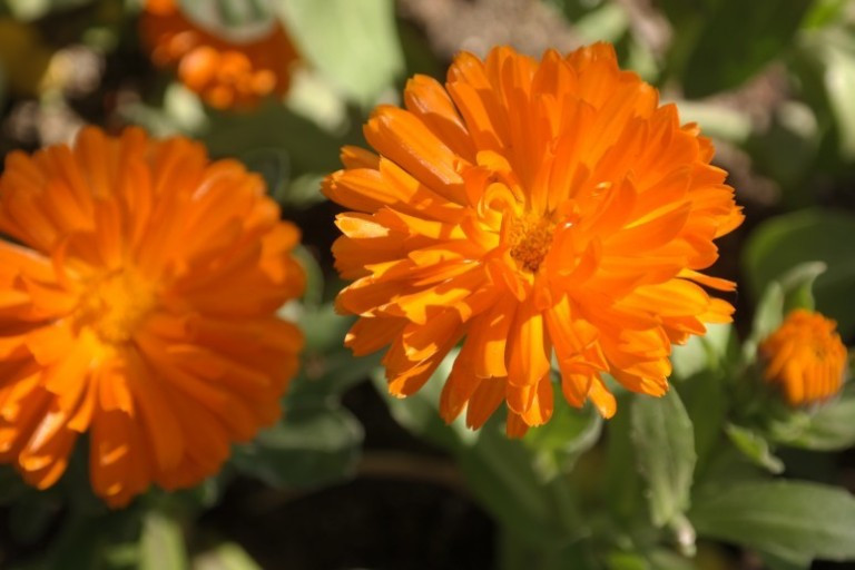 다운로드 (10).jpg