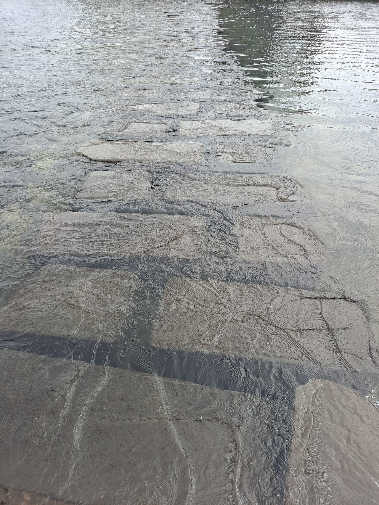 다운로드 (8).jpg