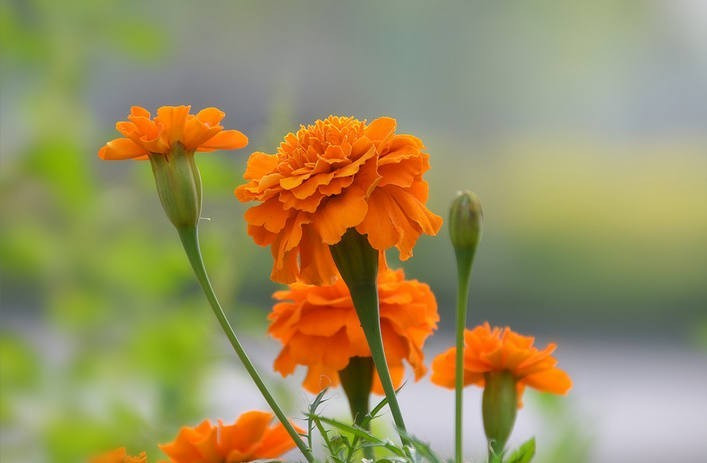 다운로드 (11).jpg