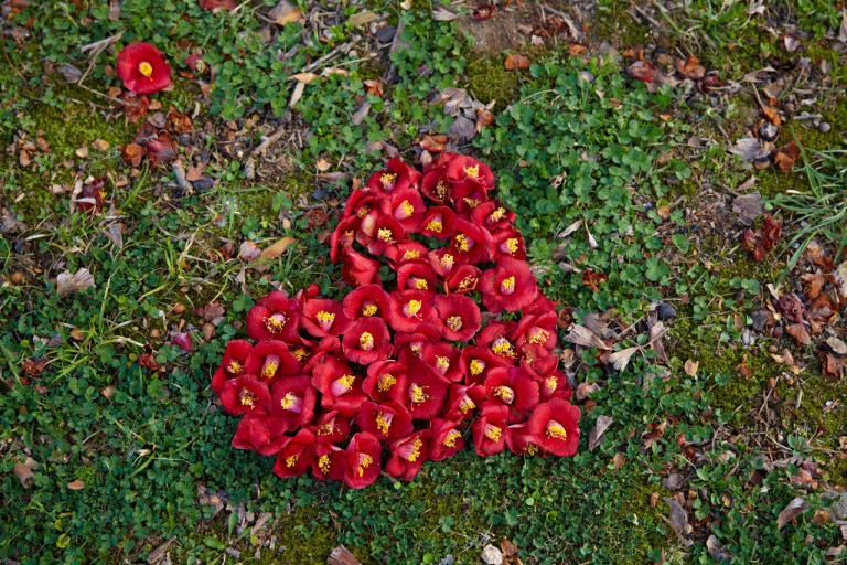 다운로드 (28).jpg