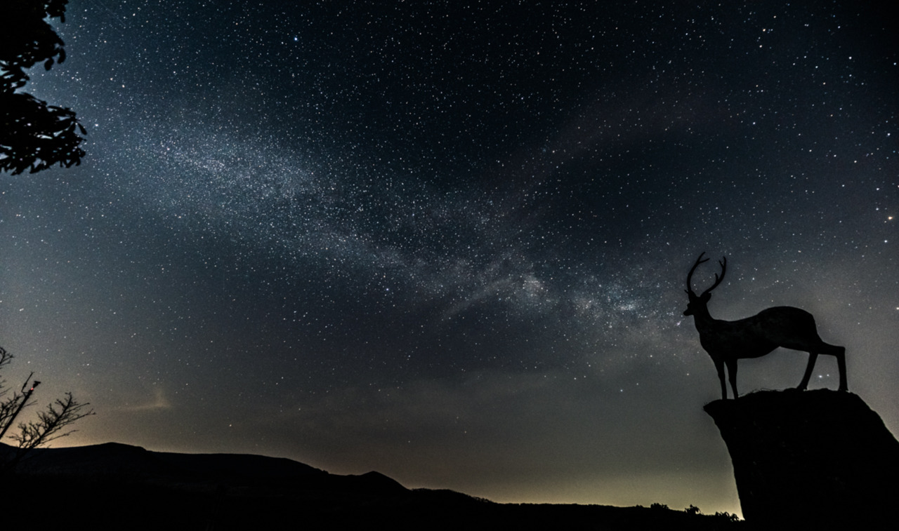 별을 노래하는 마음으로.jpg