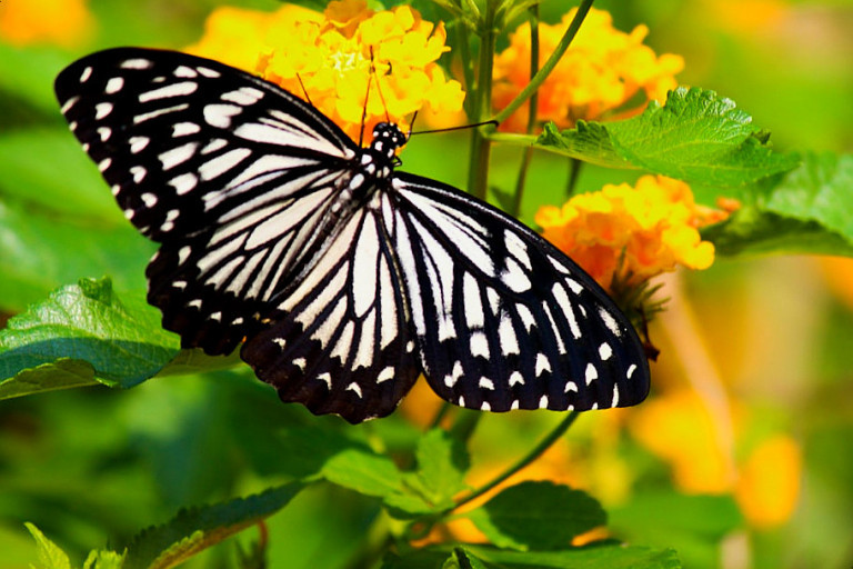 다운로드 (7).jpg