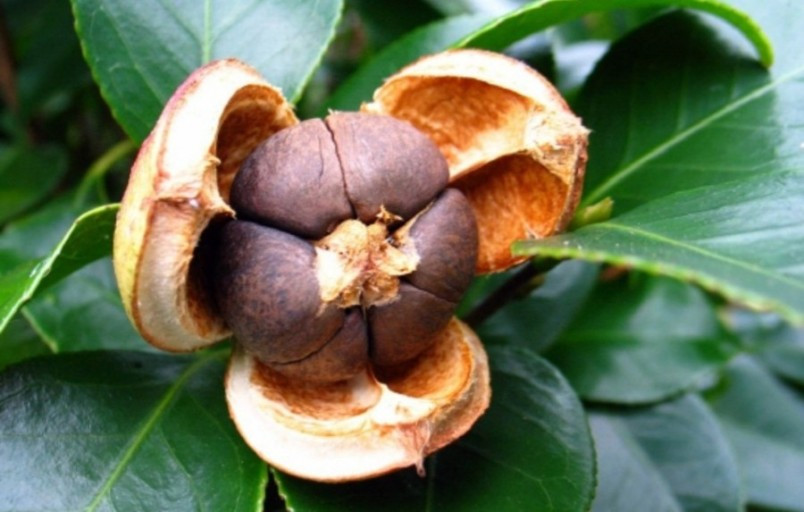 다운로드 (7).jpg