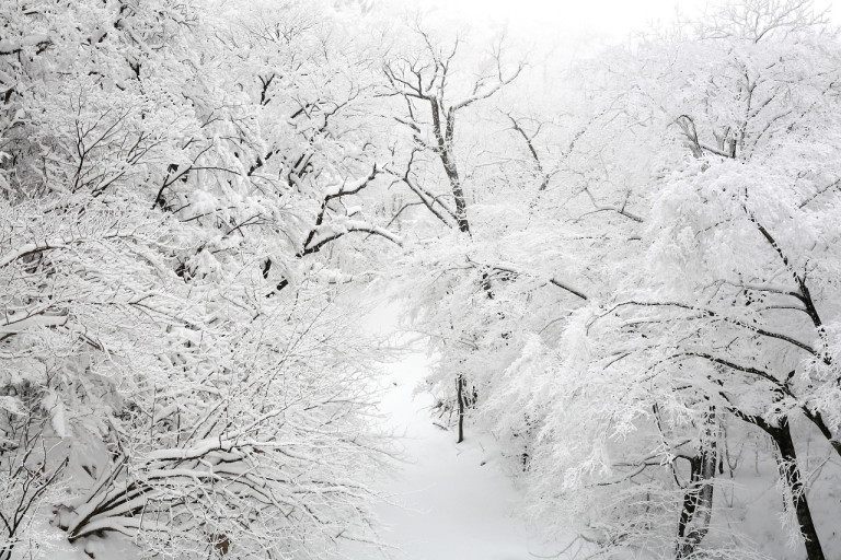 다운로드 (2).jpg