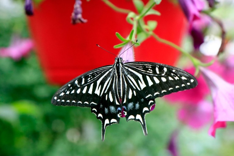 다운로드 (19).jpg