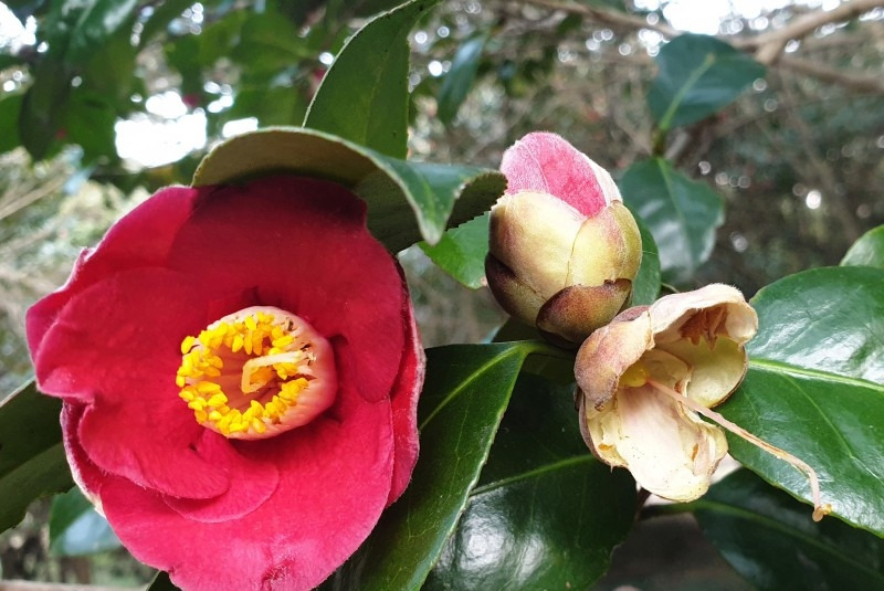 다운로드 (23).jpg