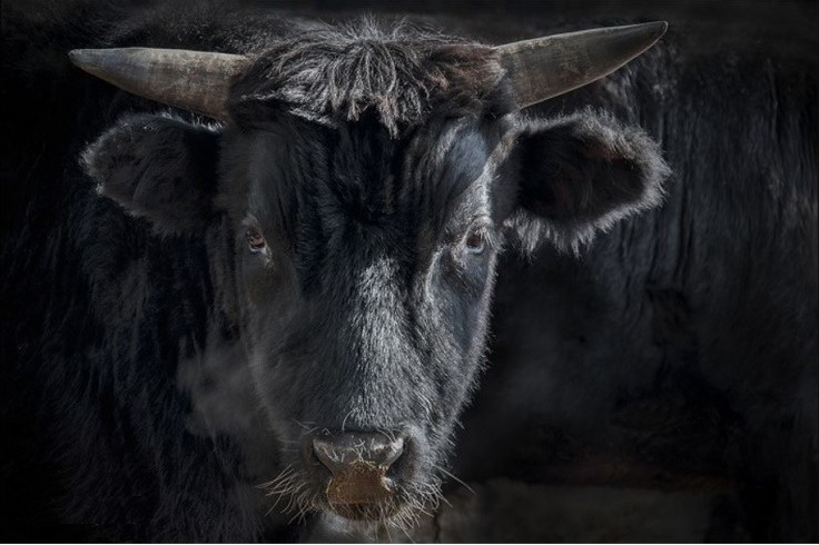 다운로드 (19).jpg