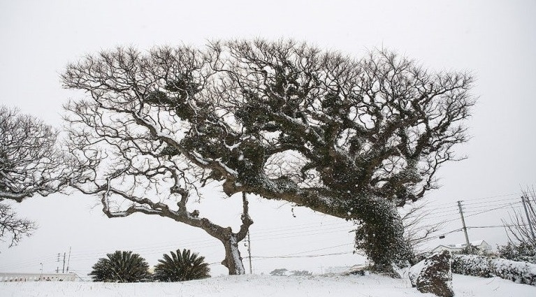 다운로드 (10).jpg