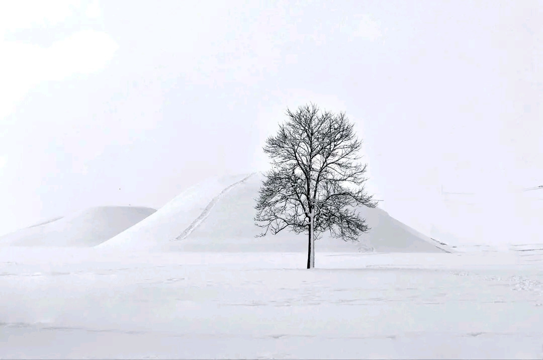 다운로드 (3).jpg