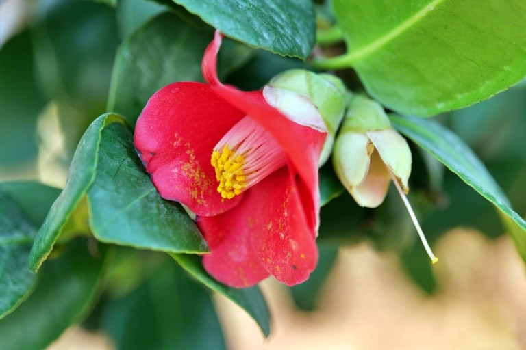 다운로드 (1).jpg